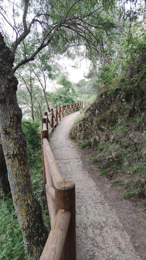 شقة Puente Viejo De Buitrago Casa Encina بويتراغو ديل لوزويا المظهر الخارجي الصورة